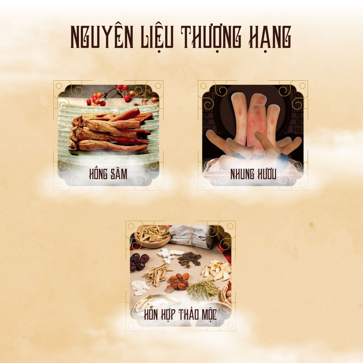 Cao Hồng Sâm Nhung Hươu Goryo Hàn Quốc hộp 2 lọ x 250g